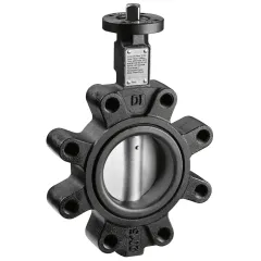 Caleffi 639 LUG Tip Kelebek Vana DN 40