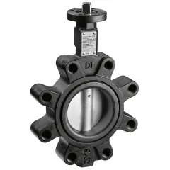 Caleffi 639 LUG Tip Kelebek Vana DN 50