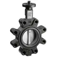 Caleffi 639 LUG Tip Kelebek Vana DN 80