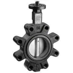 Caleffi 639 LUG Tip Kelebek Vana DN 100