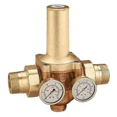 Caleffi 536590 Basınç Düşürücü Vana 2''